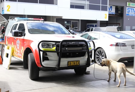 Animal Transport Solution