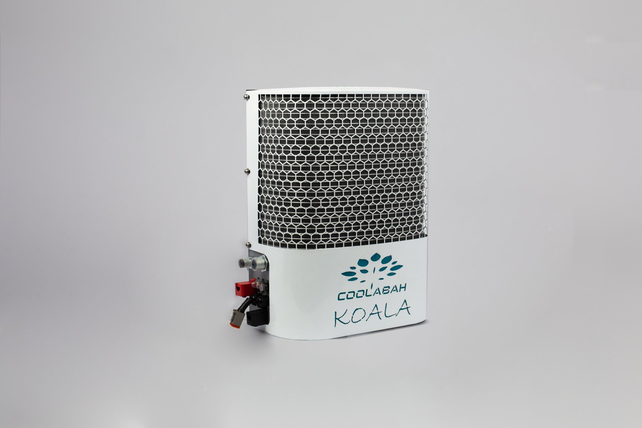 The Koala